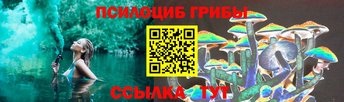 Галлюциногенные грибы Psilocybe  Вход с VPN  Богородицк 
